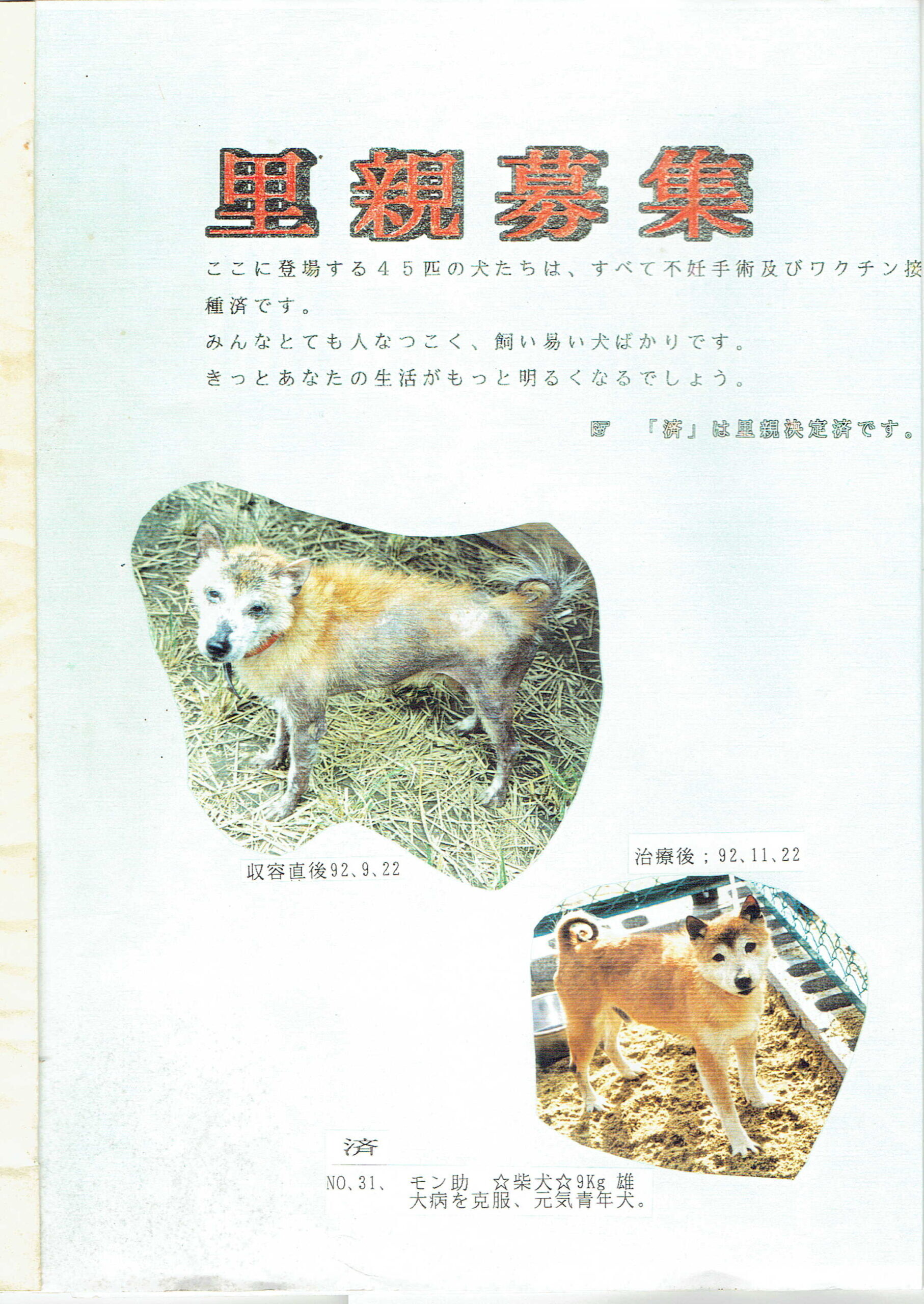 Protected: Brochure to Find Adopters