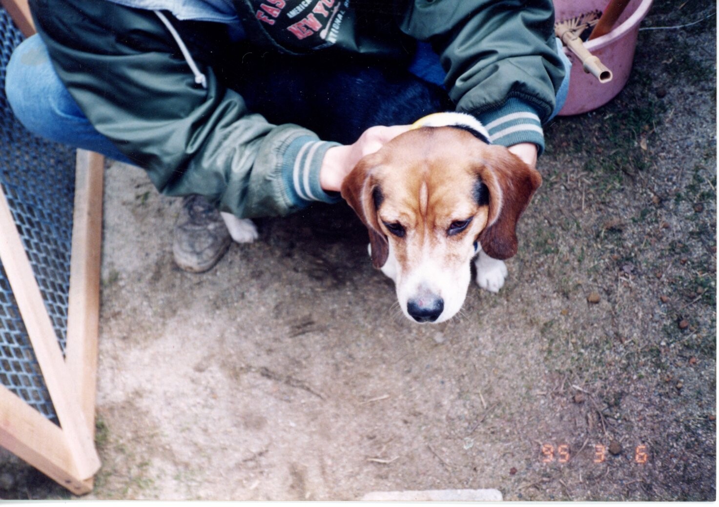 保護中: ジョン