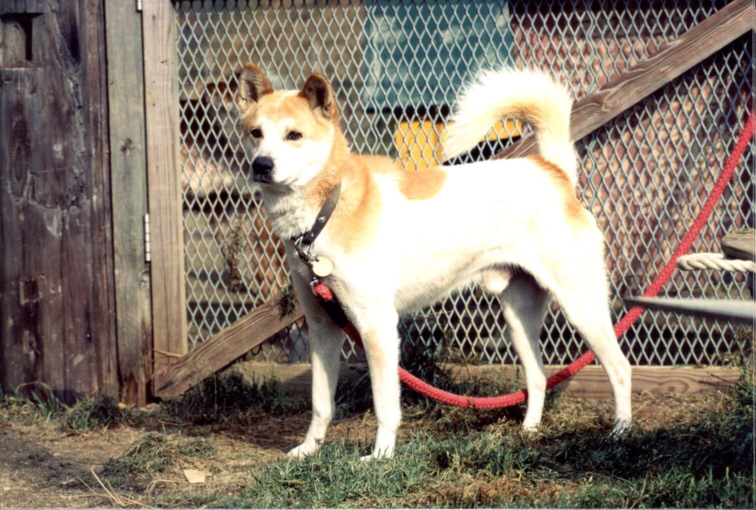 保護中: コタロウ