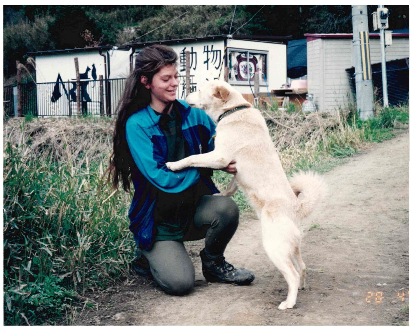保護中: 耳が茶色のベージュ雑種