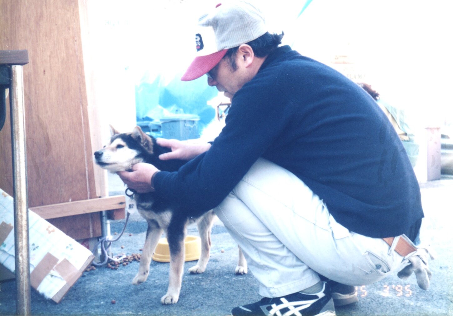 保護中: 黒と茶色の柴雑種