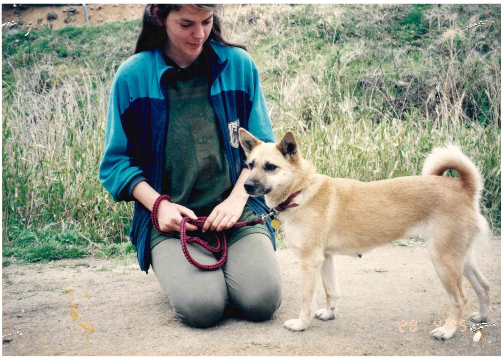 保護中: 上記以外