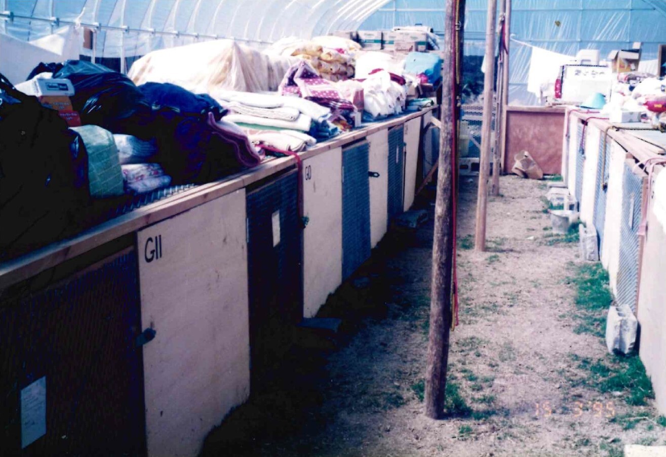 保護中: 施設・スタッフ・ボランティア