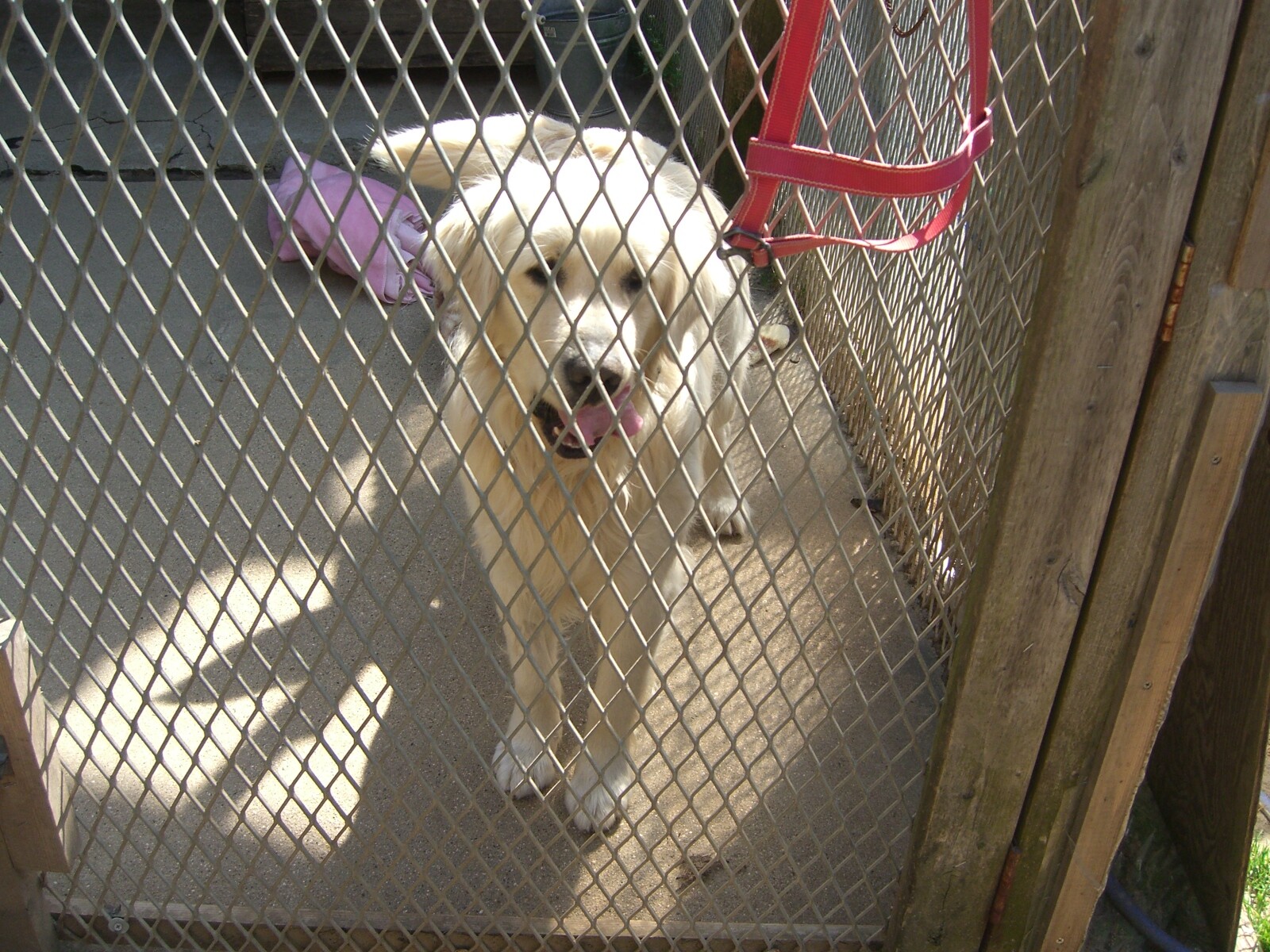 保護中: 4月15日