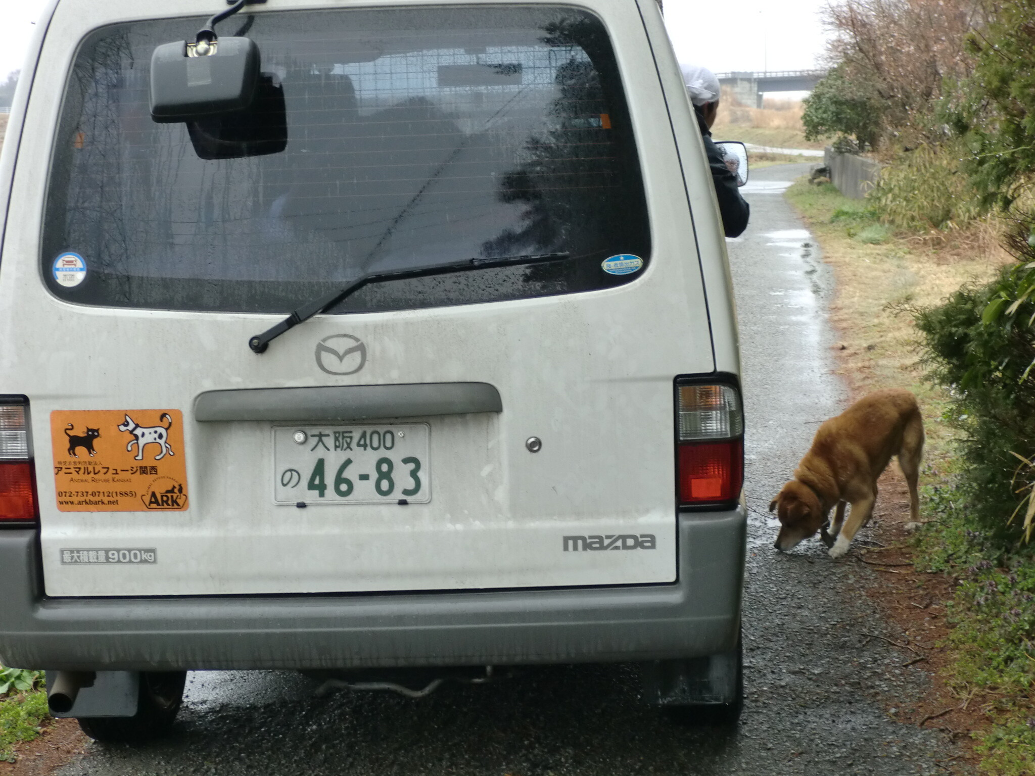 保護中: 4月21日