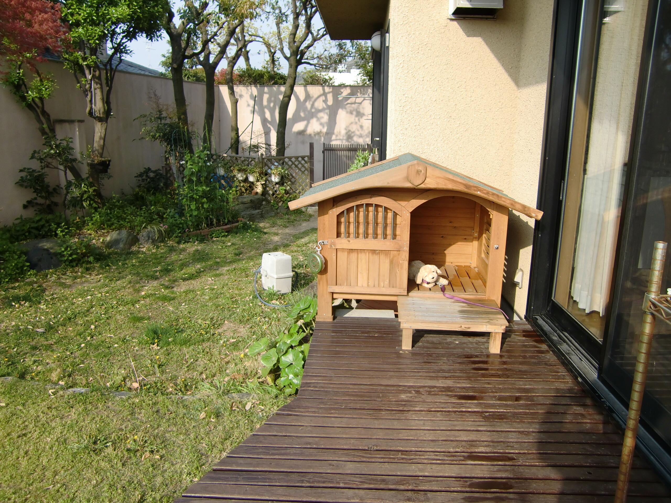 保護中: 地震全般