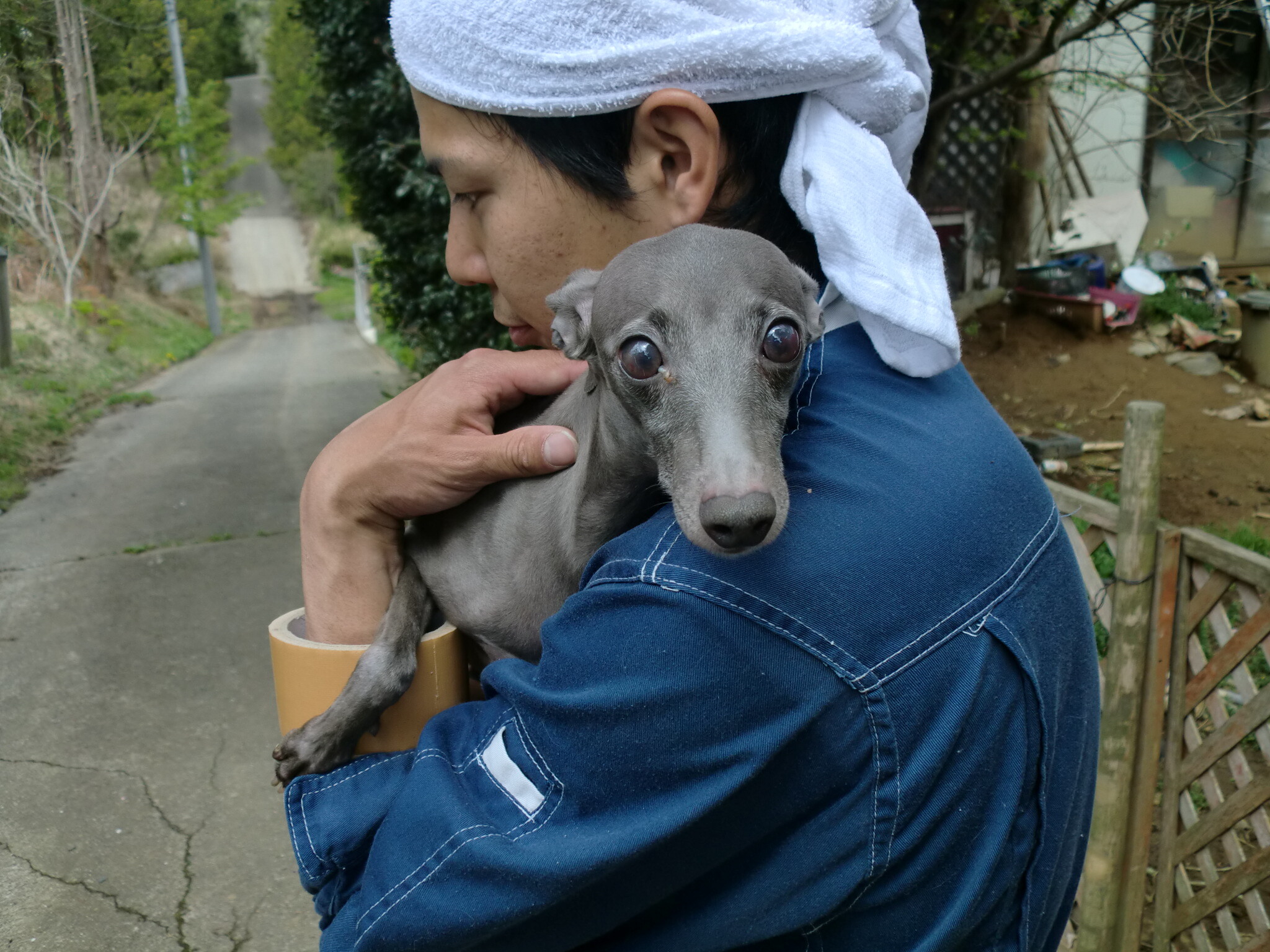 保護中: 広報用の写真