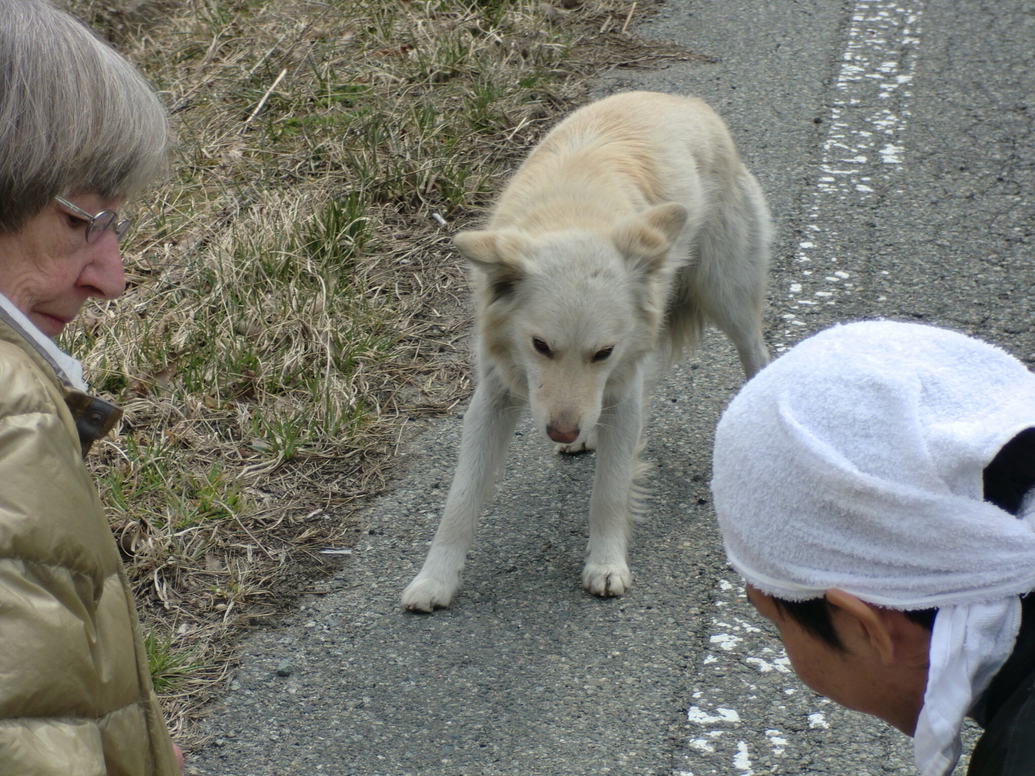保護中: 香港の雑誌用