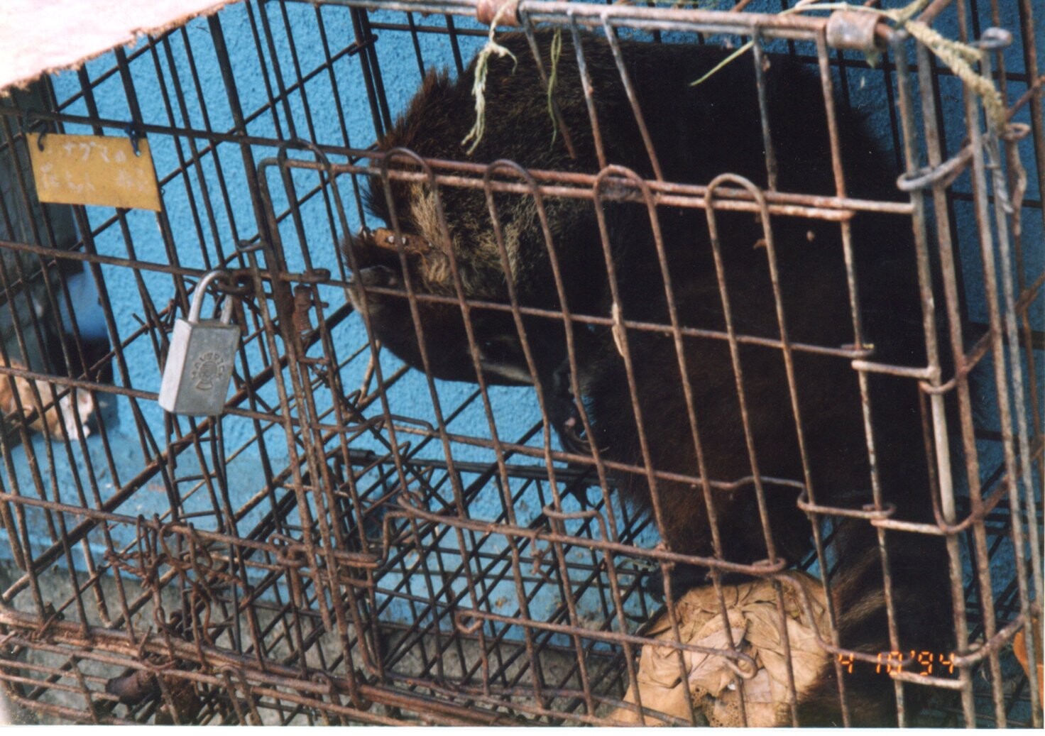 ペットショップ（亀岡）