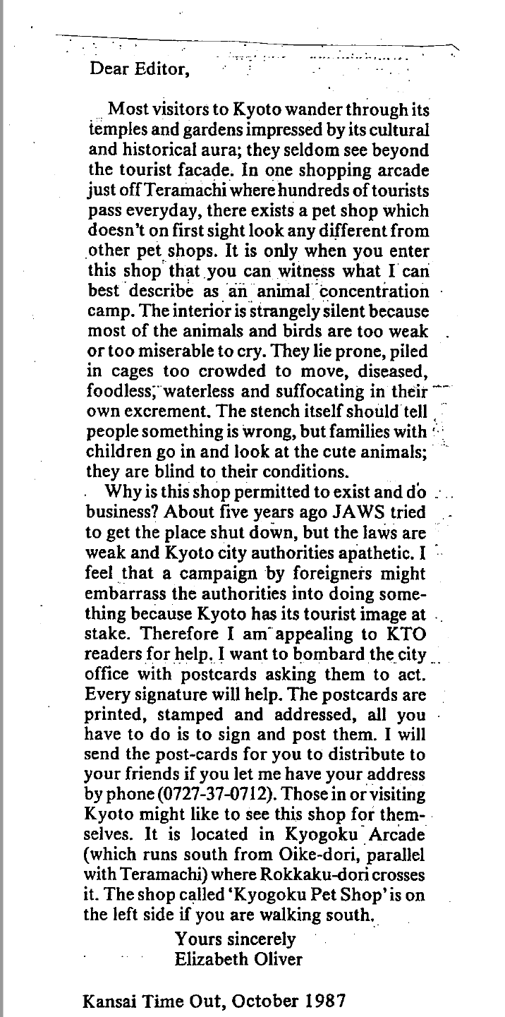 保護中: 絵葉書・記事