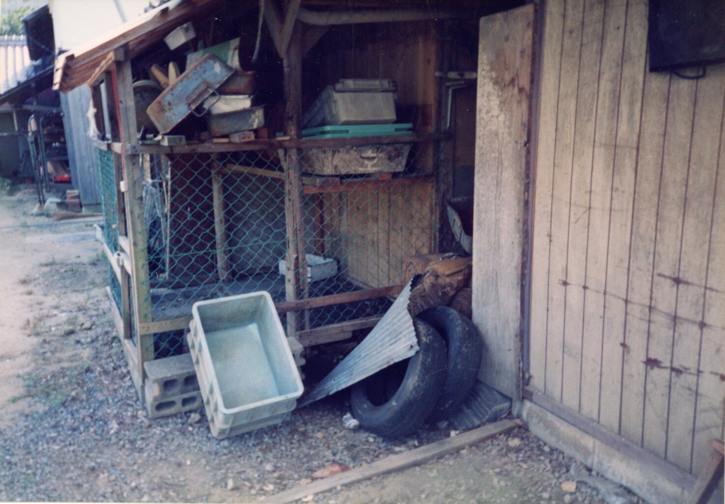 保護中: ペットショップ5