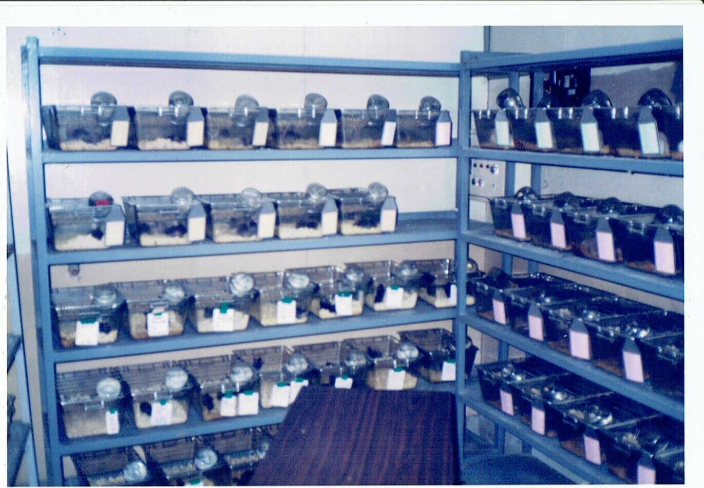 京都大学千里病院_1995年