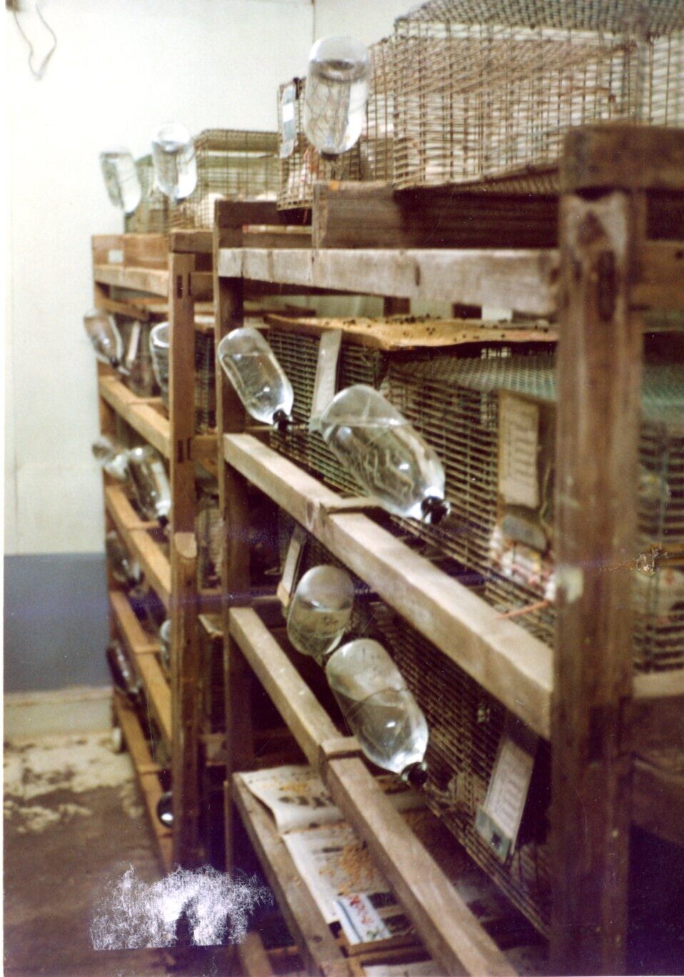 保護中: 武蔵野獣医大学