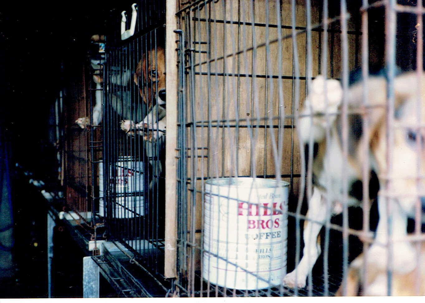 保護中: 大阪府立大学_1995年1月