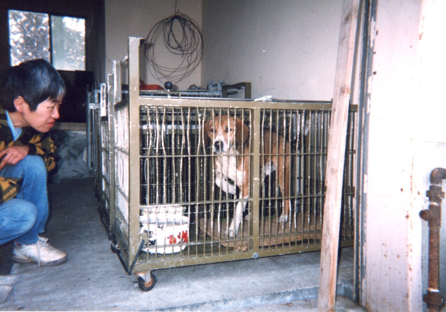 保健所のガス室