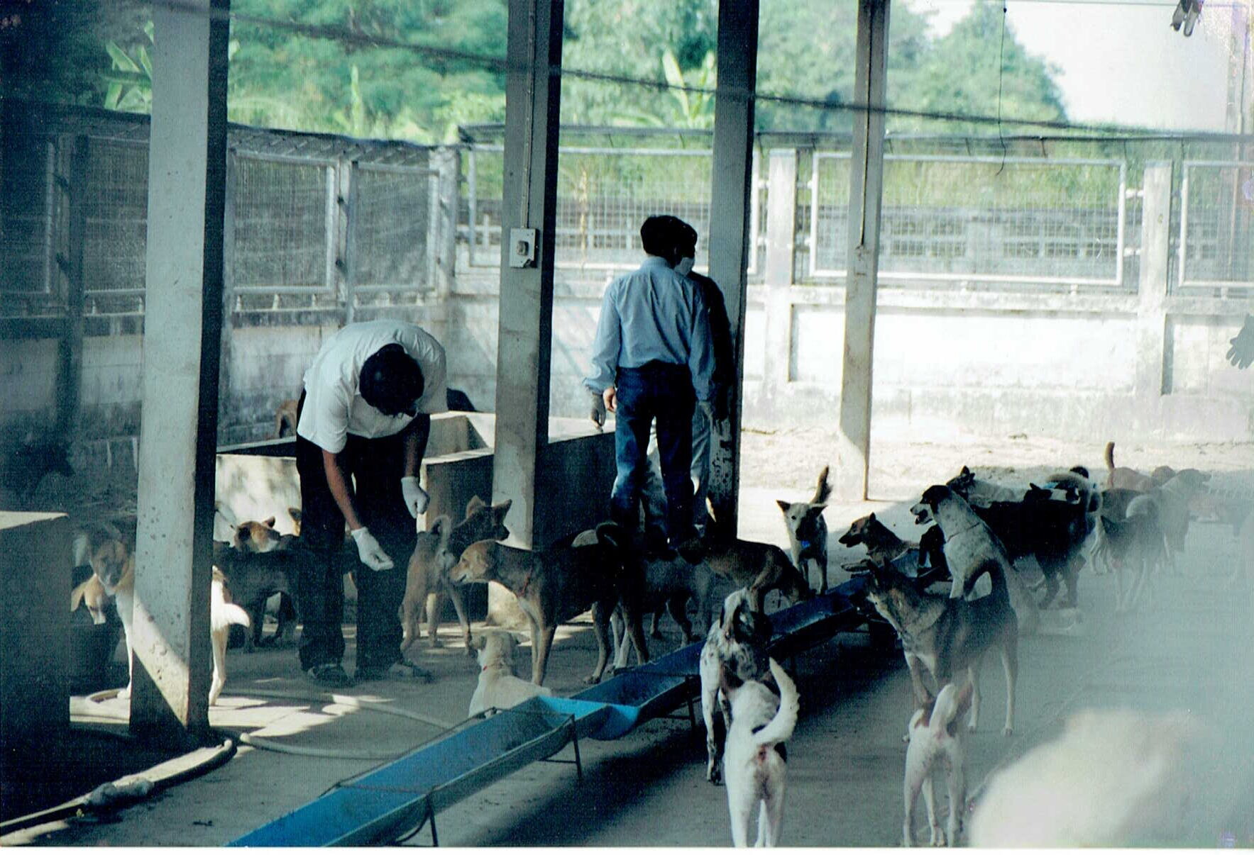 保護中: 台湾の保健所