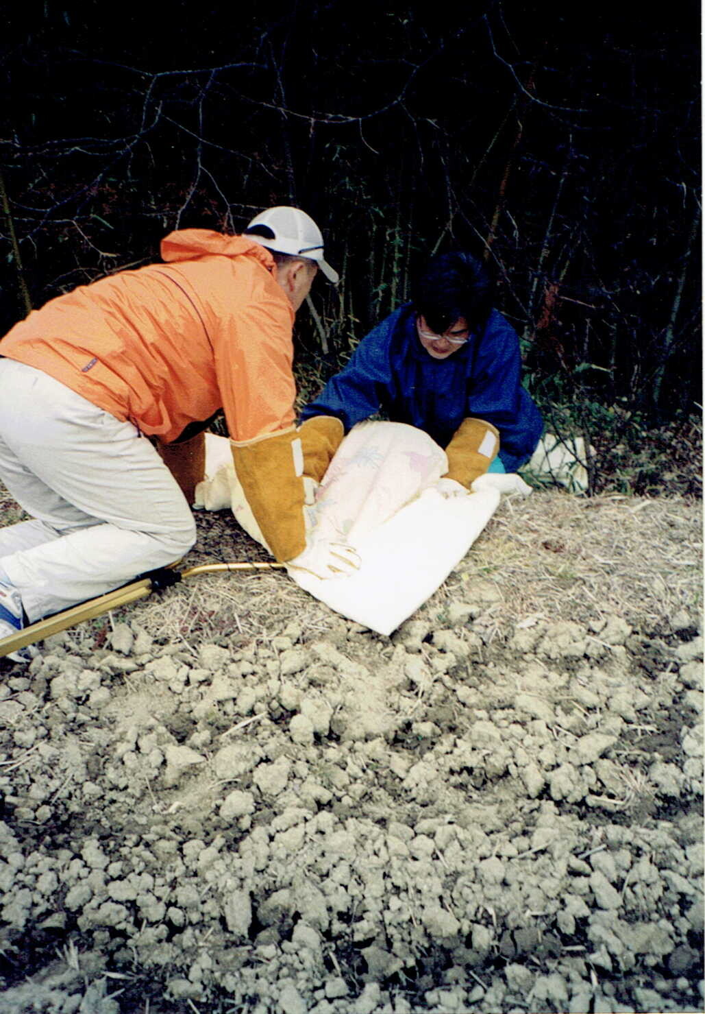 保護中: ワナにかかった犬のレスキュー_2005年1月