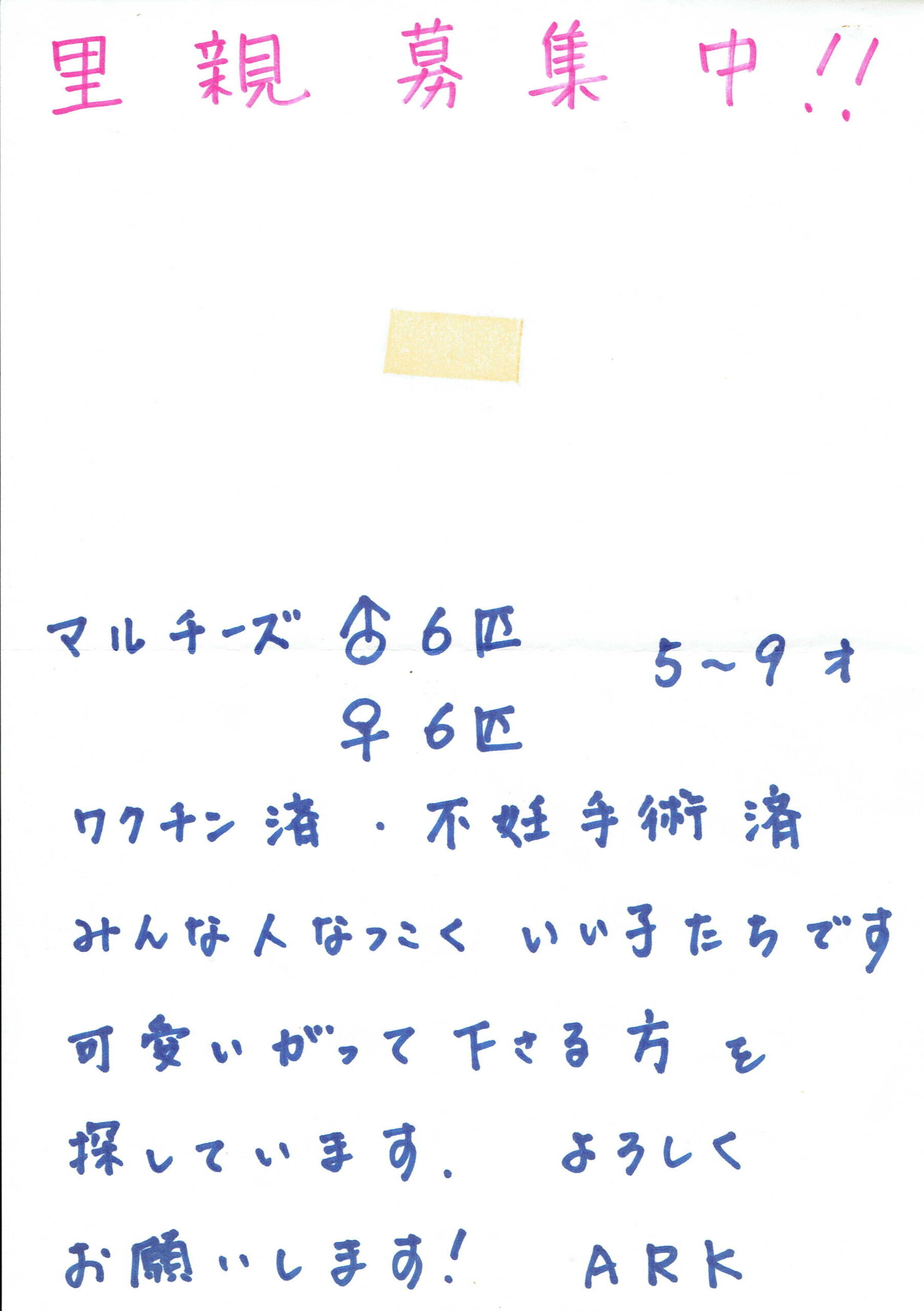 保護中: レスキュー後