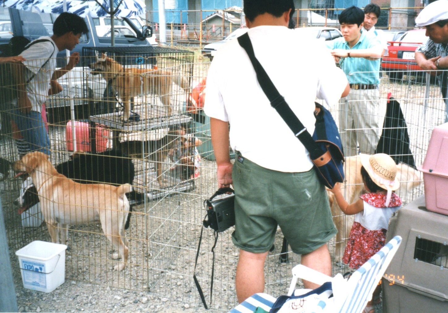 保護中: レスキュー（場所不明）