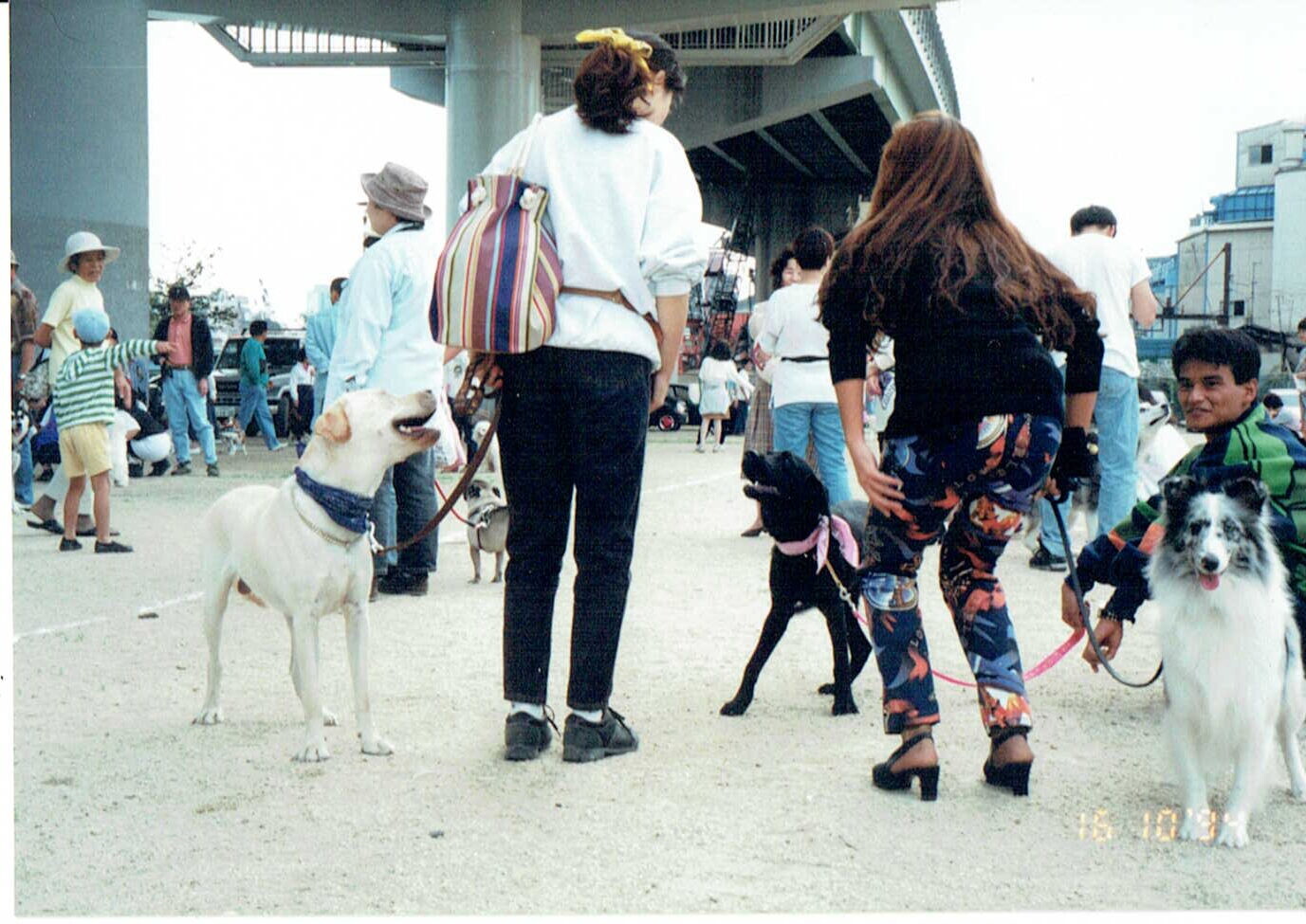 ドッグショー（大阪）