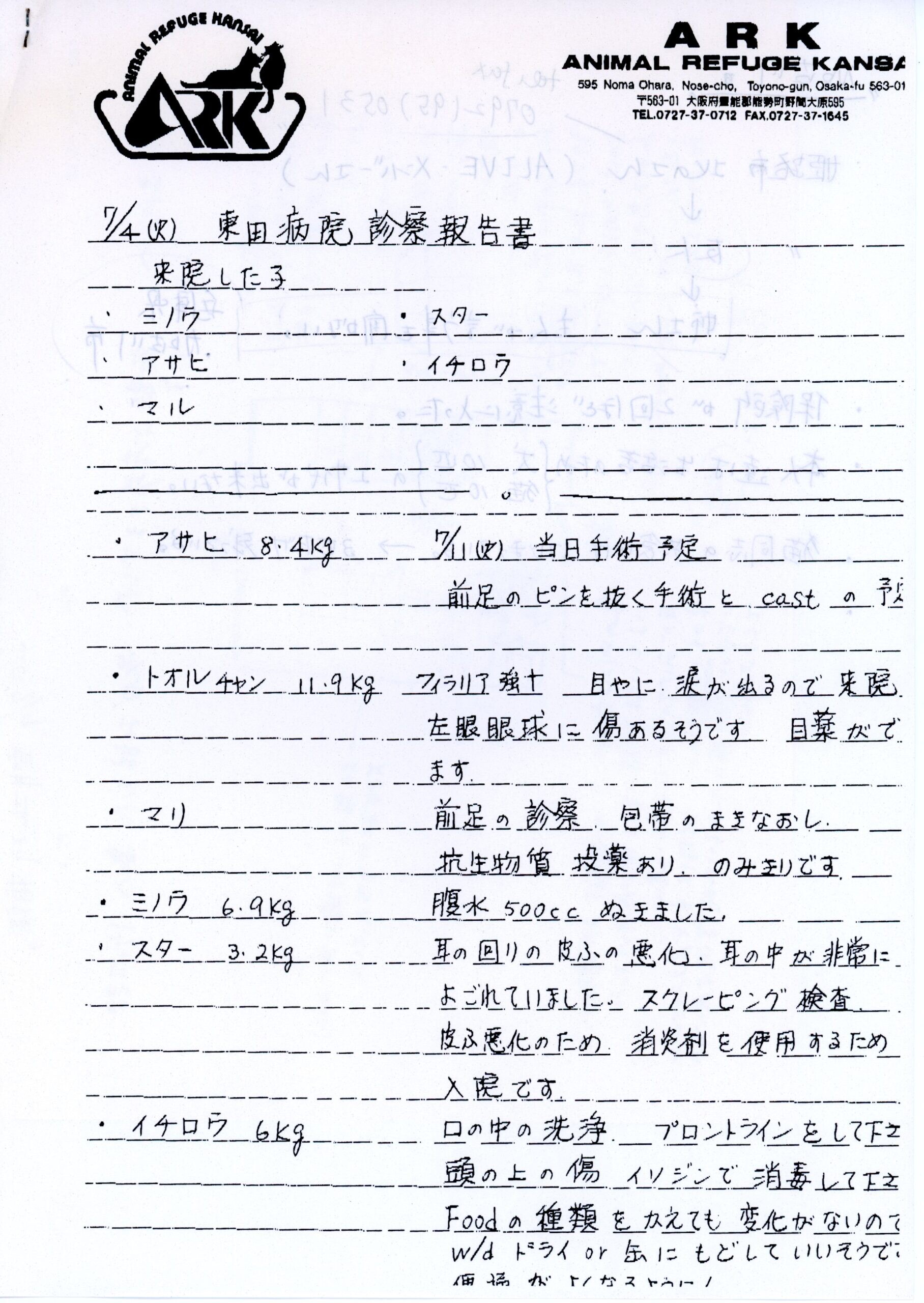 Examination Report by Higashida Animal Hospital