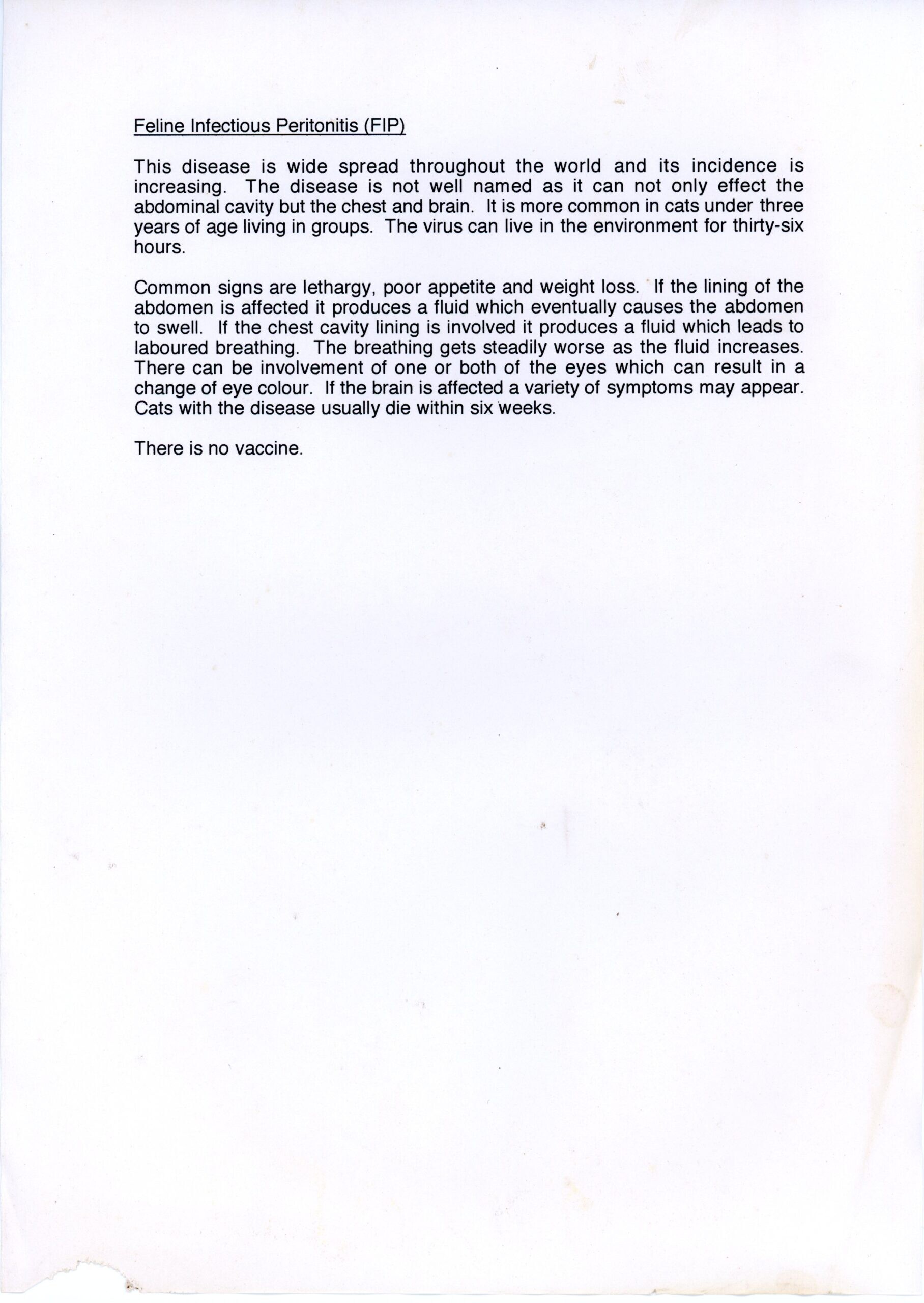 猫伝染性腹膜炎の情報