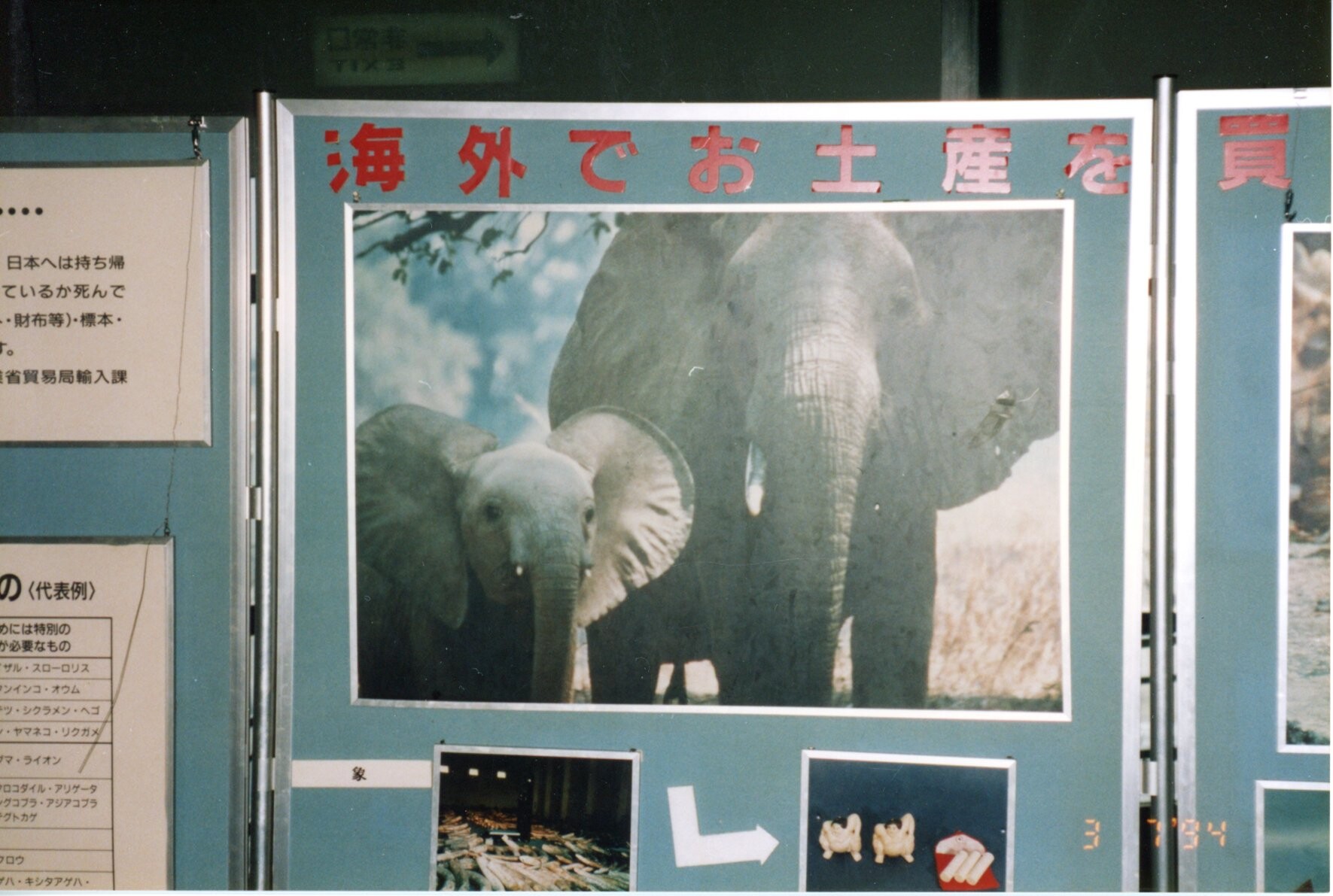 ワシントン条約