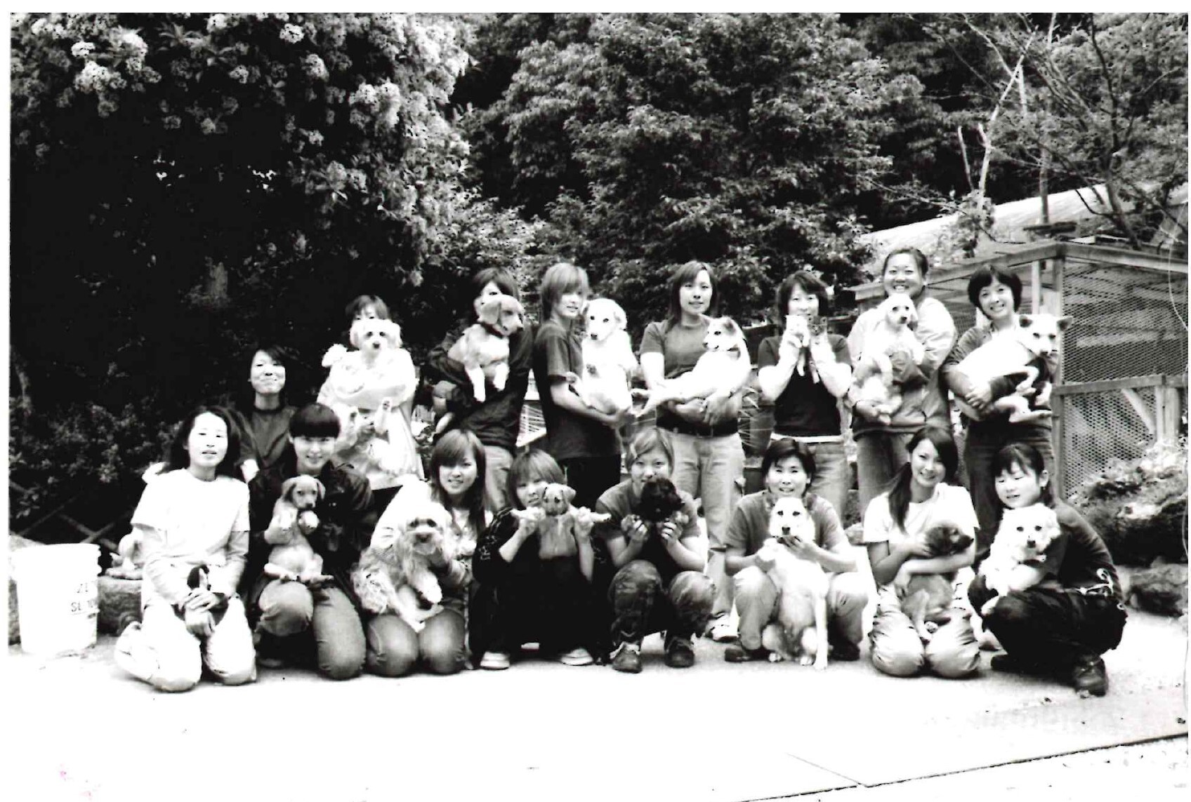 ボランティア