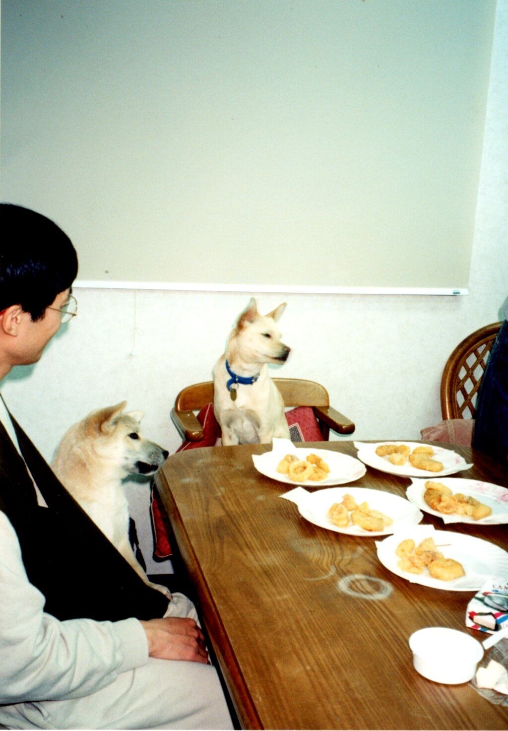 Group 6 wtih Ogura’s Dog