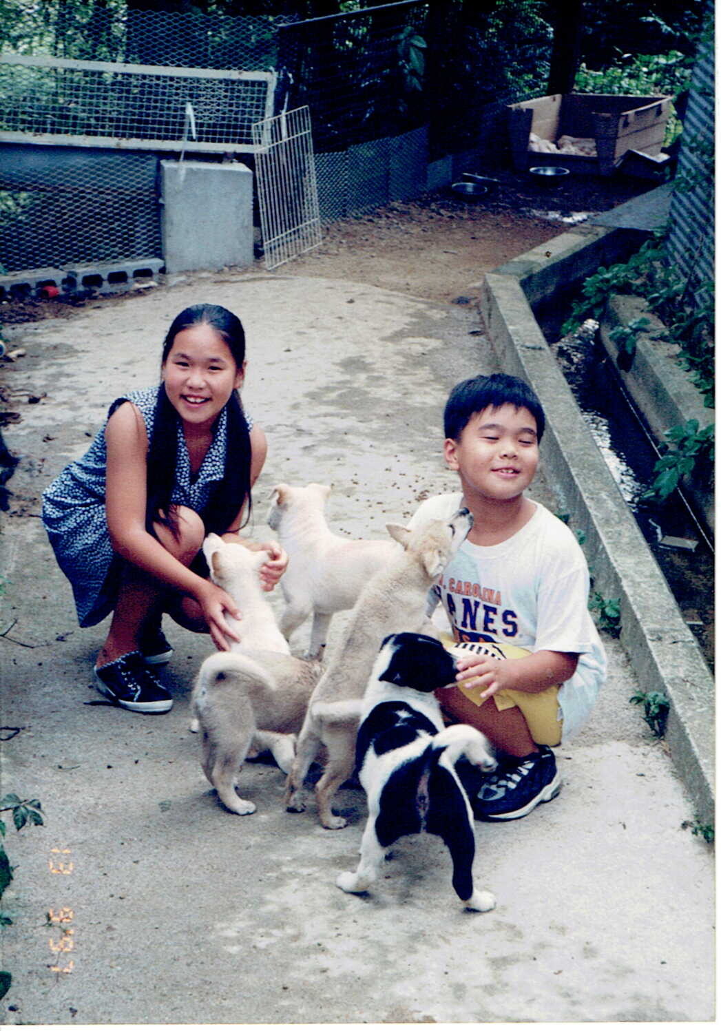 グループ 8