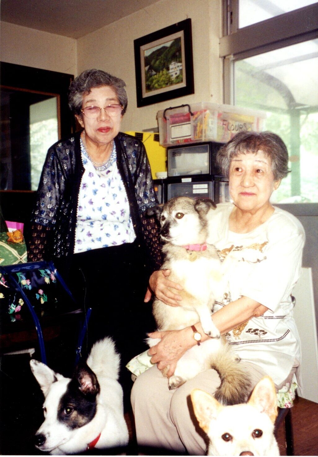 グループ 15