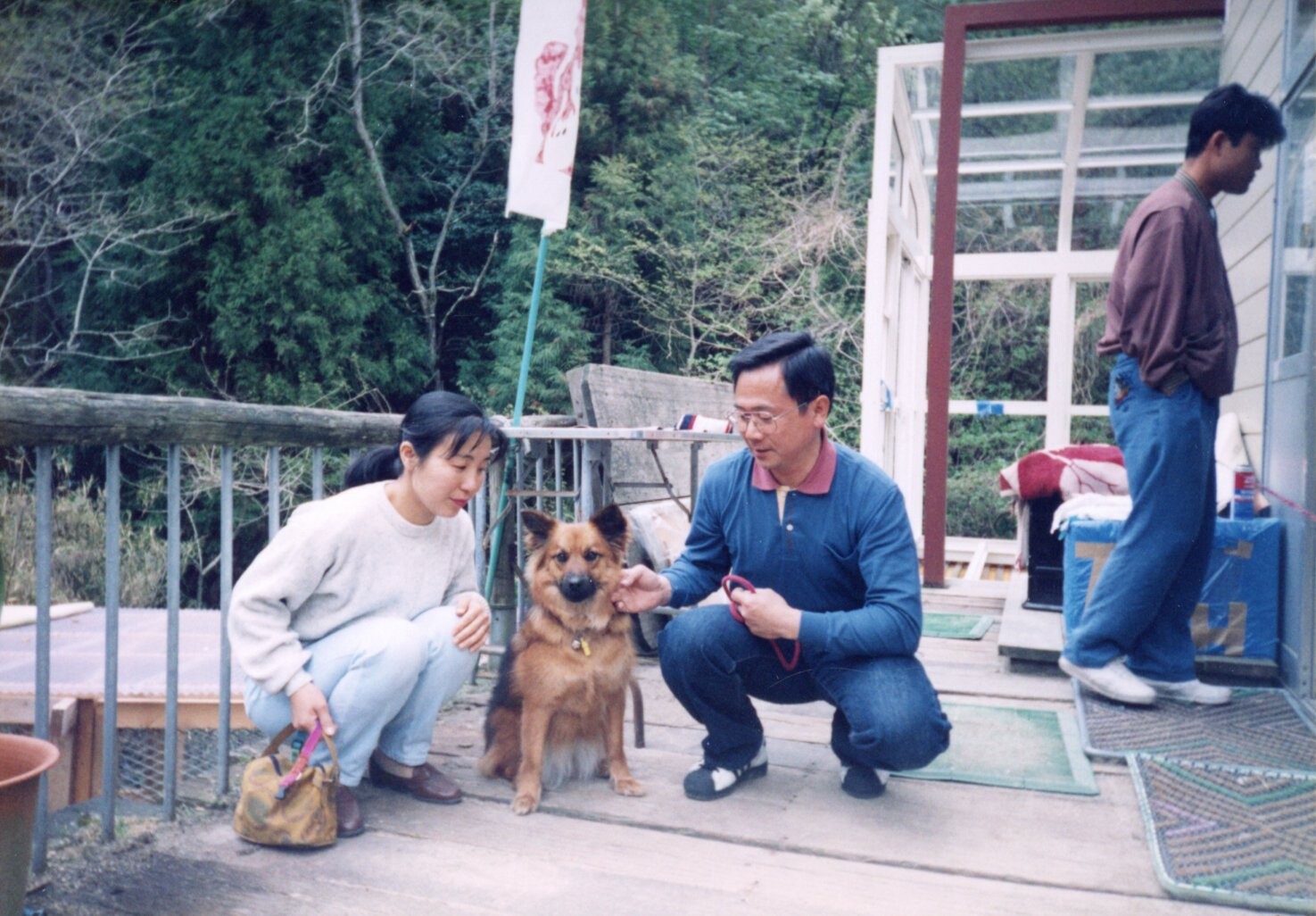 鼻と耳が黒い毛がふわふわの茶色の雑種