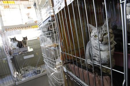 保護中: UKC 2012-1.rtfd