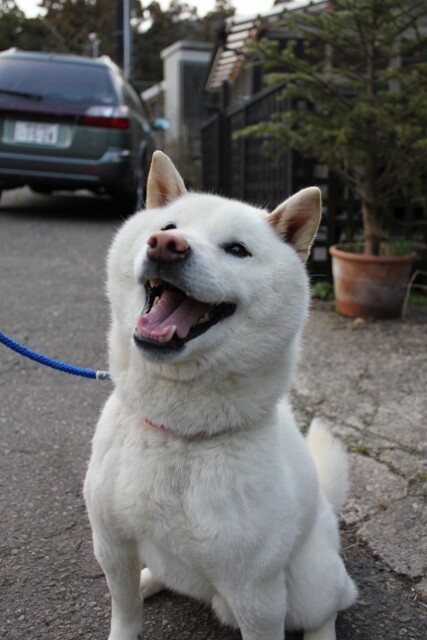 保護中: JEARS.rtfd%