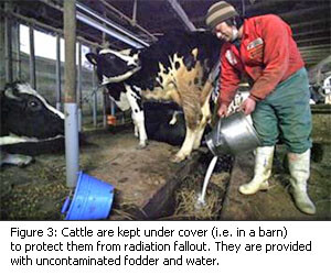 保護中: IAEA .rtfd