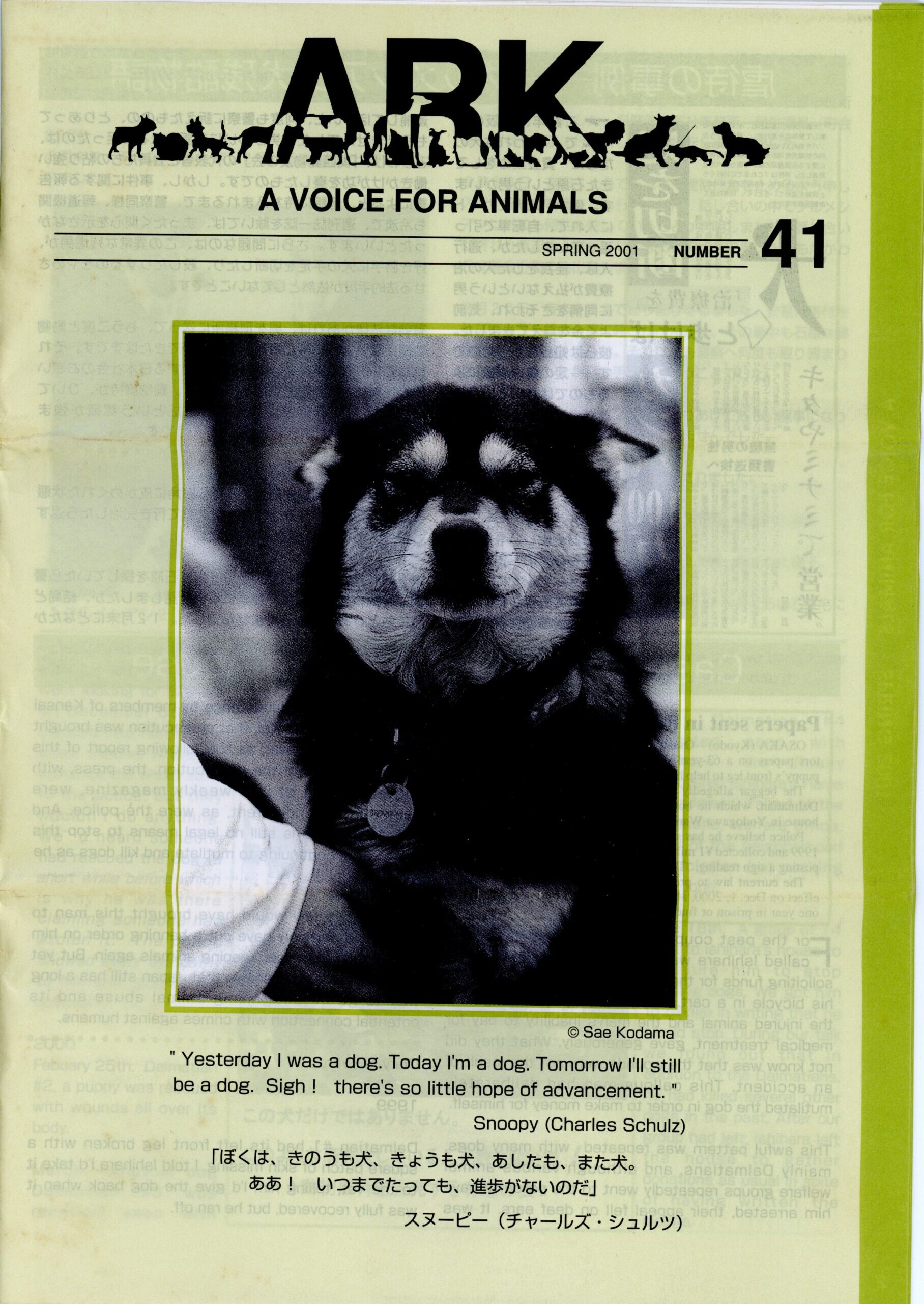 保護中: ニュースレター